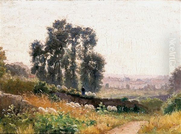 Paisaje - view 1