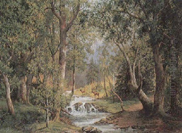Waldlandschaft Mit Sonniger Lichtung - view 1