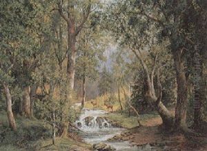 Waldlandschaft Mit Sonniger Lichtung by Joseph Sedlacek