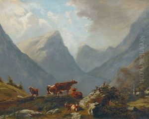 Cows In The High Alps