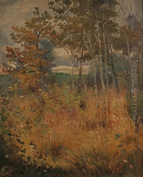 Herbstliche Landschaft Mit Birken - view 1