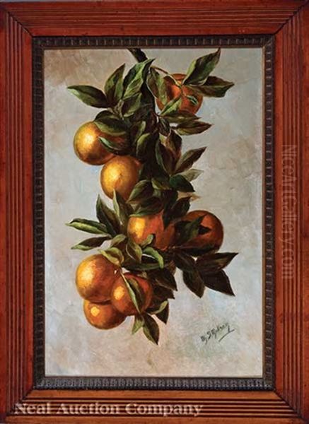 Nature More: Satsuma Branch - view 1