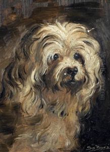 Head Of A Long Haired Terrier