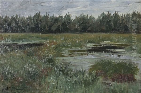 Moorlandschaft In Der Heide, Blick Uber  Wasserpartien Mit Grasern, Im Hintergrund Ein Angrenzender Wald - view 1