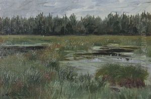 Moorlandschaft In Der Heide, Blick Uber  Wasserpartien Mit Grasern, Im Hintergrund Ein Angrenzender Wald