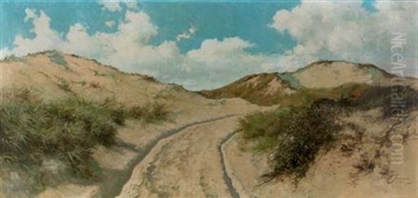 A Dune Path - view 1