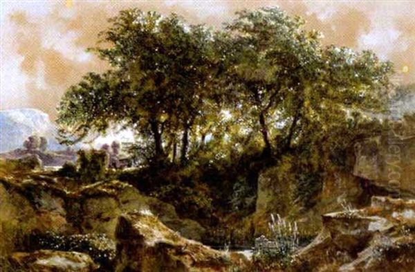 Waldparthie Beim Runkelstein Im Sarnthale - view 1