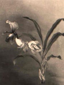 Eine Orchidee, 'cabasetum Mirabile' by Ignaz Seelos