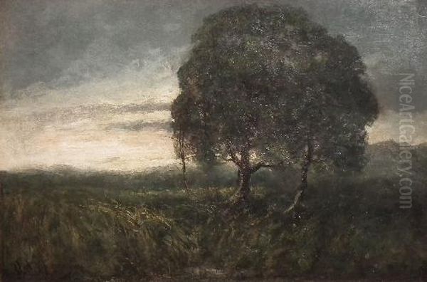 Evening Landscape With Tree Toforeground - view 1