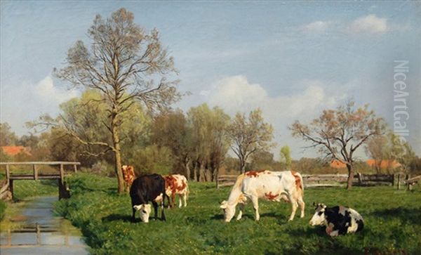Cows Grazing By A Creek - view 1