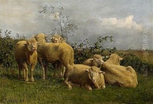 Schafe Auf Der Weide by Carl Seibels