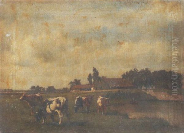 Weidende Kuhe Auf Der Wiese - view 1