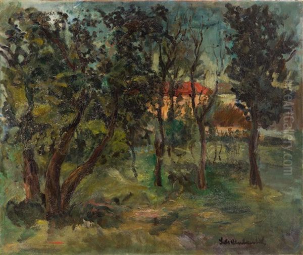 Landscape - view 1