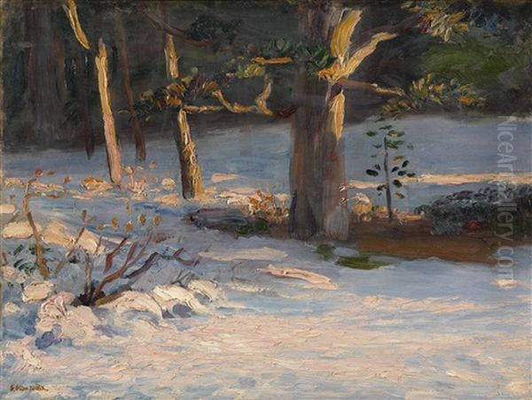 Winter Landscape - view 1