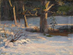 Winter Landscape