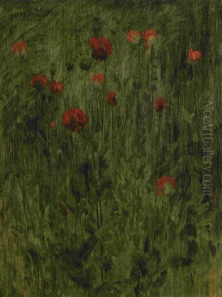 Poppy - view 1