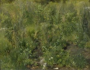 Sommerliches Wiesenstuck Bei Pahl Am Ammersee