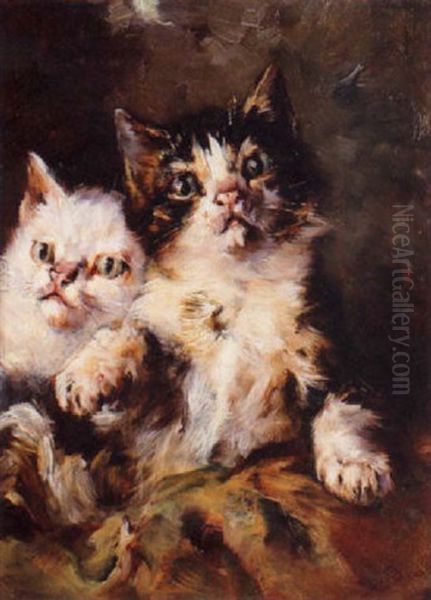 Kittens At Play - view 1
