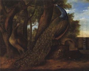 Pfauenpaar In Einem Schlospark by Johann Seitz