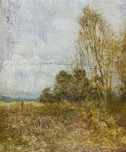 Moorland Landscape - view 1