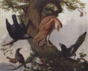 Birds On The Branch Of An Oak Tree