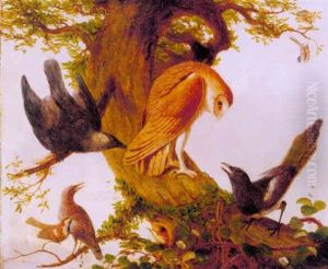 An Assembly Of Birds On The Branch Of An Oak Tree