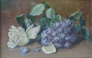 Still Life With White Rose And Wisteria