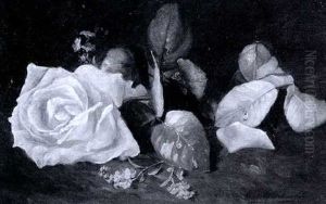 Still Life With A Pink Rose