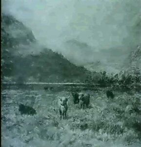 Highland Cattle