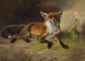 Fuchs Und Wespe