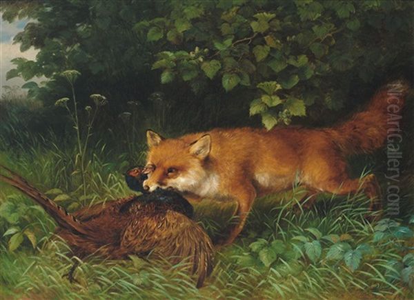 Fuchs Mit Fasan - view 1