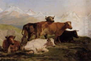 Kuhe Auf Der Alm