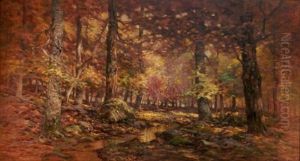 Tinkers Creek, Bedford Ohio by John Semon