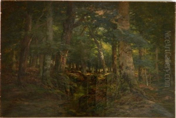 Summer Landscape - view 1