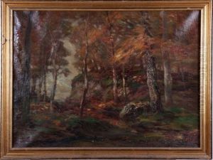 Autumn Forest Scene by John Semon
