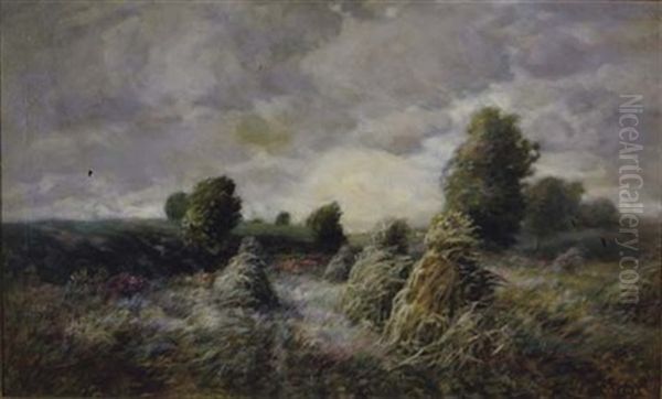 Late Summer Landscape - view 1