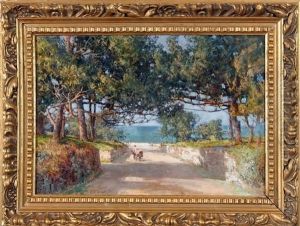 Bermuda Scene