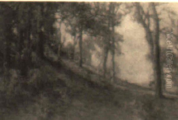 An October Hillside - view 1