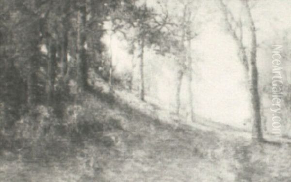 October Hillside - view 1