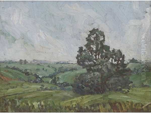 Landscape - view 1