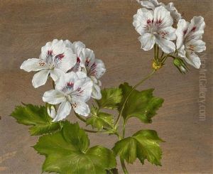 Geranienblute by Adolf (Carl) Senff