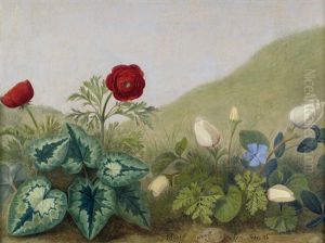 Wiesenstuck Mit Ranunkeln Wiesenstuck Mit Ranunkeln