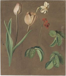 Studienblatt Mit Tulben Und Marzbecher by Adolf (Carl) Senff