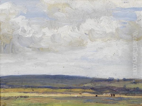 Fields At Runswick Bay - view 1