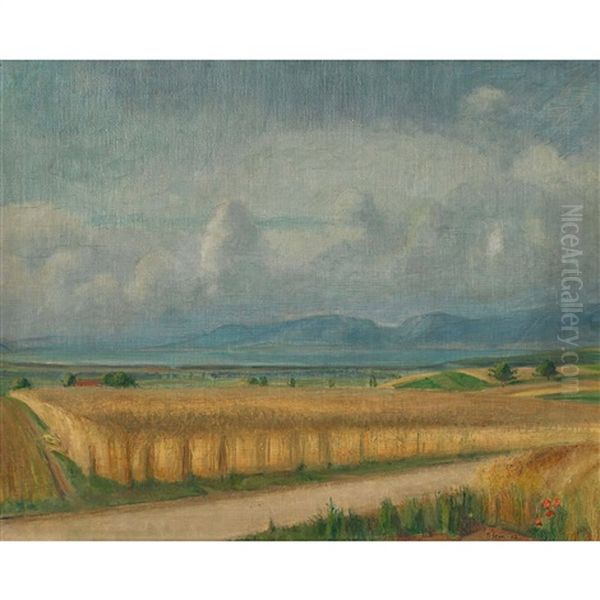 Sommerliche Feldlandschaft Am See - view 1