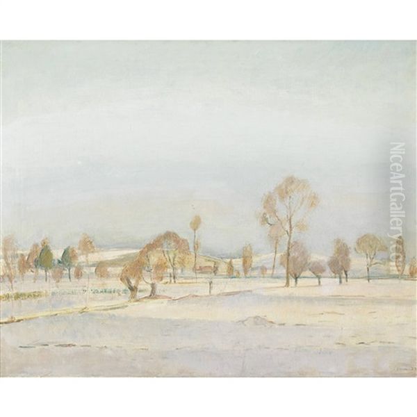 Winterlandschaft - view 1