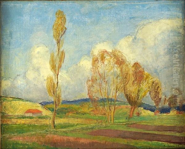 Herbstliche Landschaft Mit Birken (berner Seeland?) - view 1