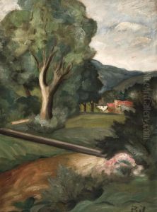 Krajina Z Provence by Jelinkova Bozena