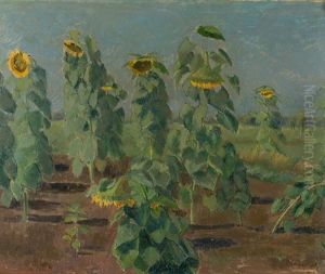 Sonnenblumen Im Grossen Moor