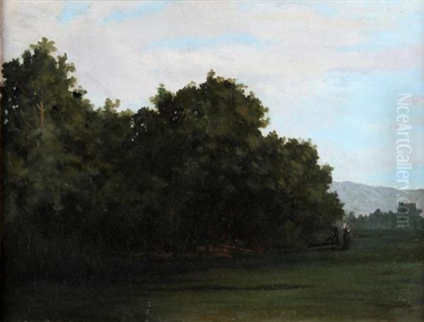 Landscape - view 1